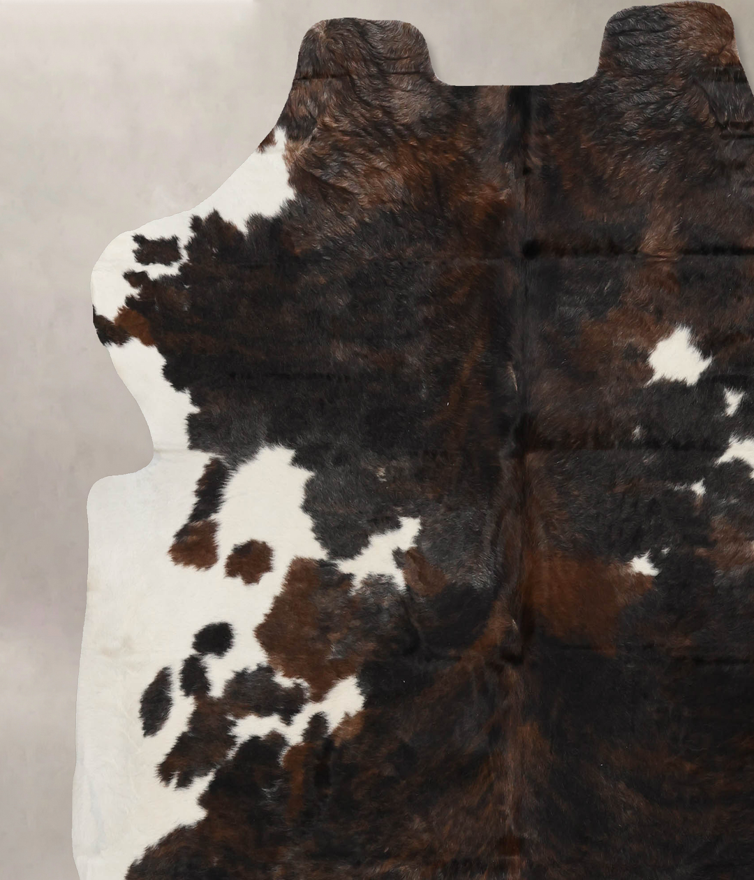 Tricolor X-Large European Cowhide Rug 7'2"H x 6'8"W #B11981 by Hudson