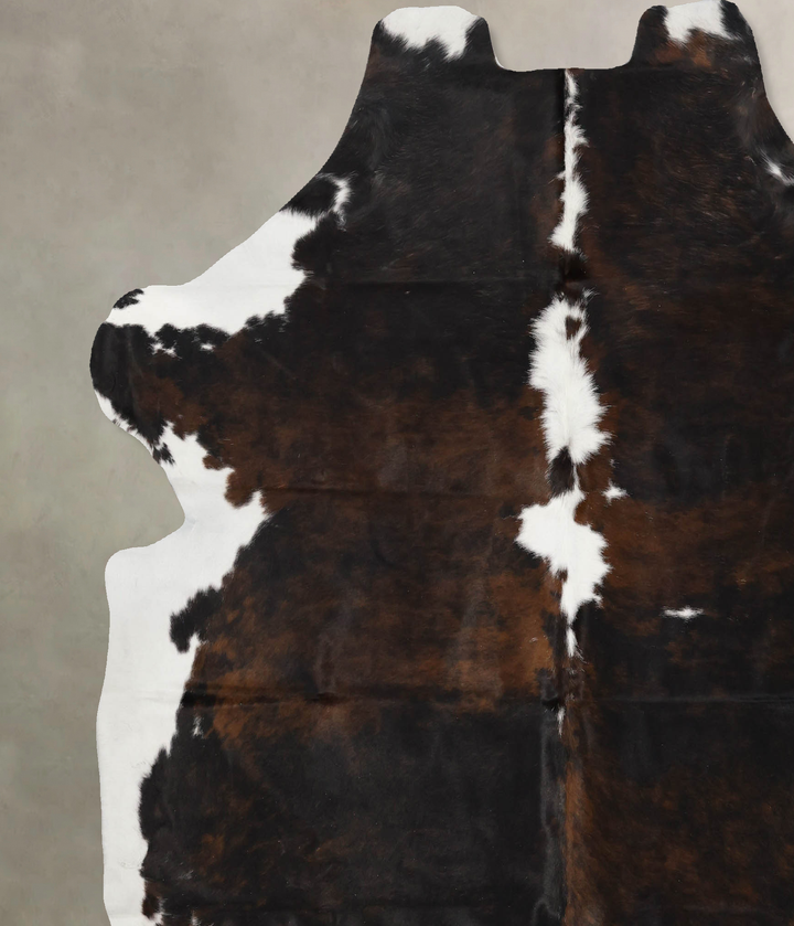 Tricolor X-Large European Cowhide Rug 7'2"H x 6'9"W #B11994 by Hudson Hides