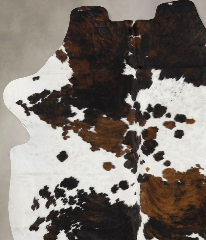 Tricolor X-Large European Cowhide Rug 7'5"H x 6'2"W #B11999 by Hudson Hides