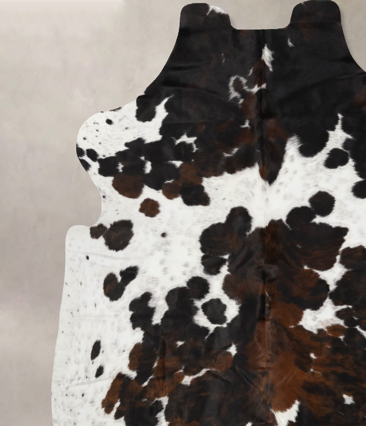 Tricolor X-Large European Cowhide Rug 7'0"H x 6'5"W #B12005 by Hudson Hides