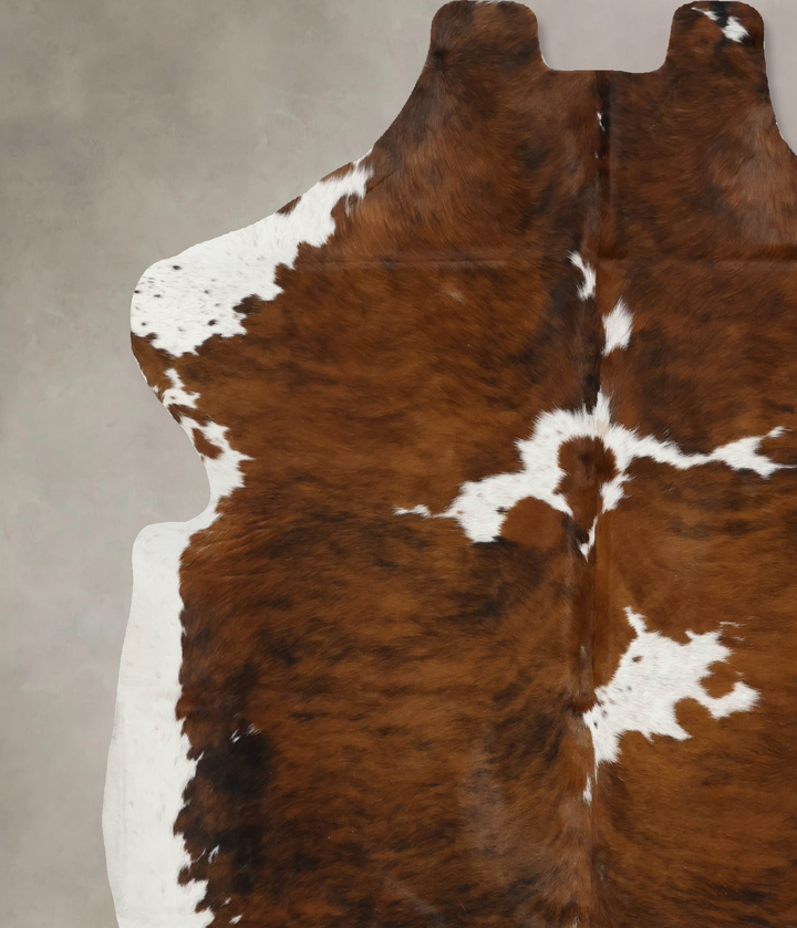 Tricolor X-Large European Cowhide Rug 6'10"H x 6'4"W #B12019 by Hudson Hides