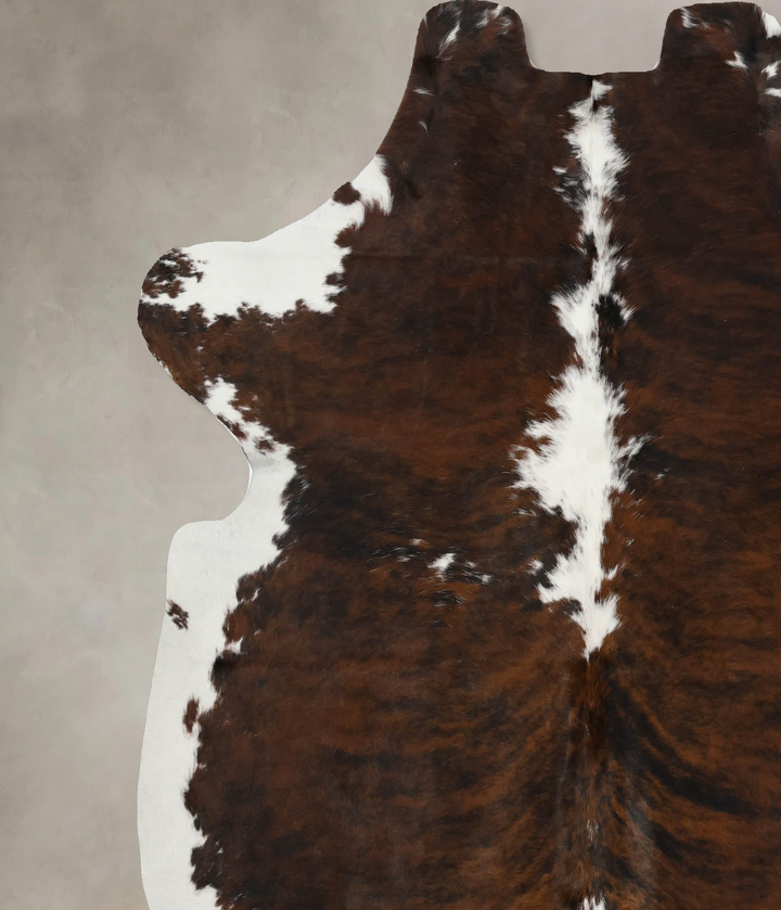 Tricolor X-Large European Cowhide Rug 6'9"H x 6'4"W #B12024 by Hudson Hides