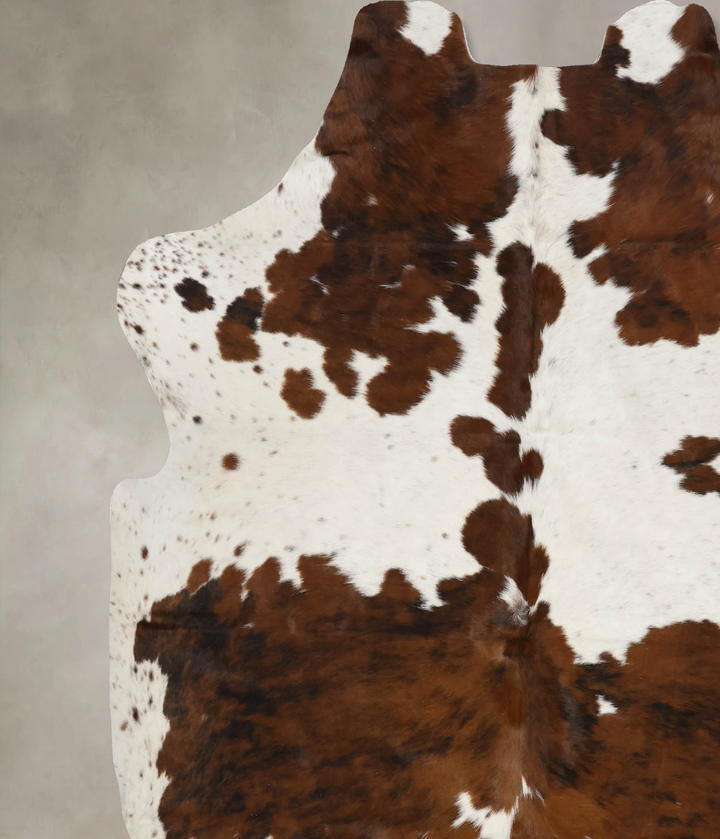 Tricolor X-Large European Cowhide Rug 7'0"H x 6'11"W #B12097 by Hudson Hides
