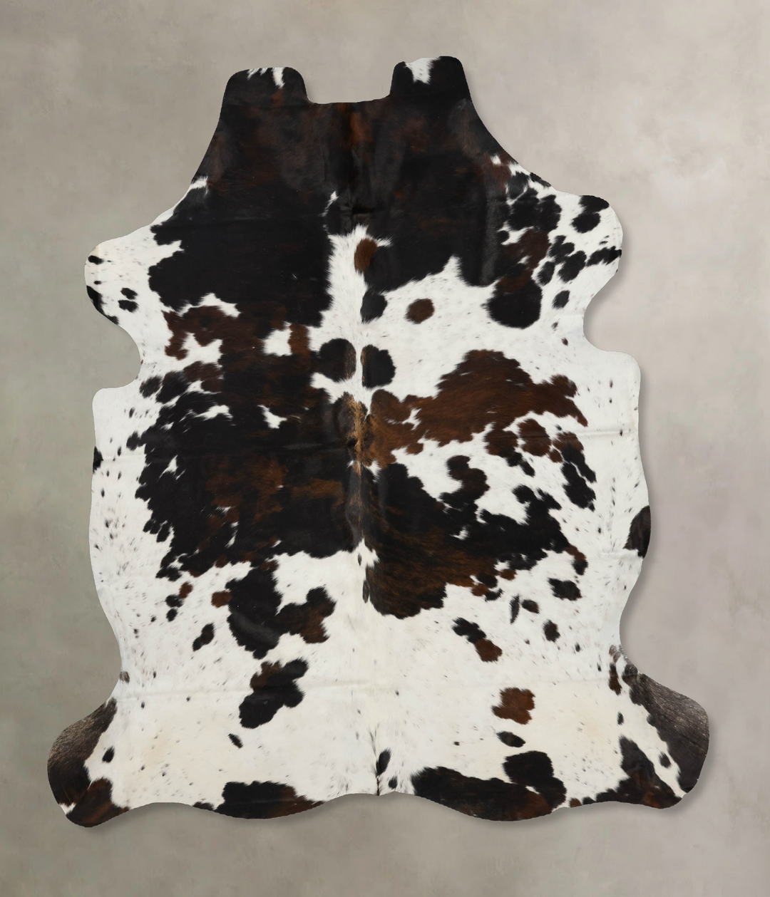Tricolor X-Large European Cowhide Rug 7'2"H x 6'6"W #B12098 by Hudson
