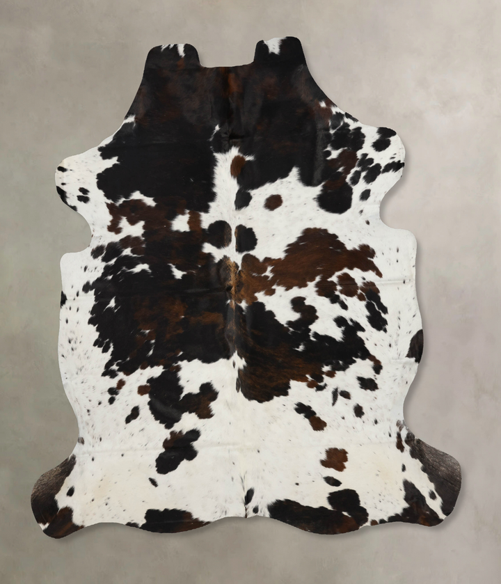 Tricolor X-Large European Cowhide Rug 7'2"H x 6'6"W #B12098 by Hudson Hides