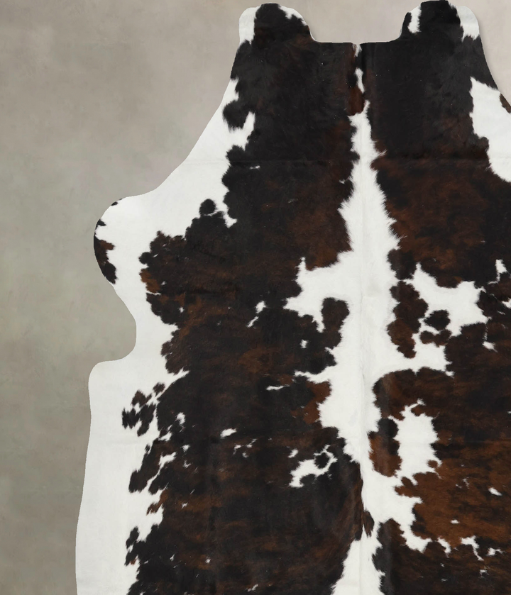 Tricolor X-Large European Cowhide Rug 6'11"H x 6'5"W #B12099 by Hudson Hides