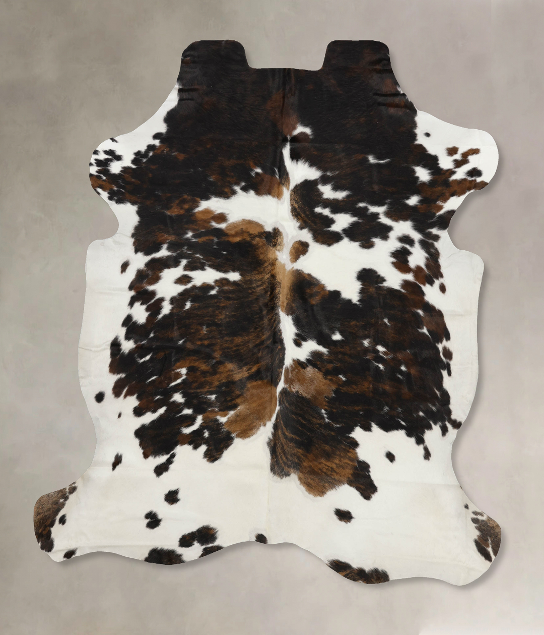 Tricolor X-Large European Cowhide Rug 7'3"H x 6'1"W #B12101 by Hudson