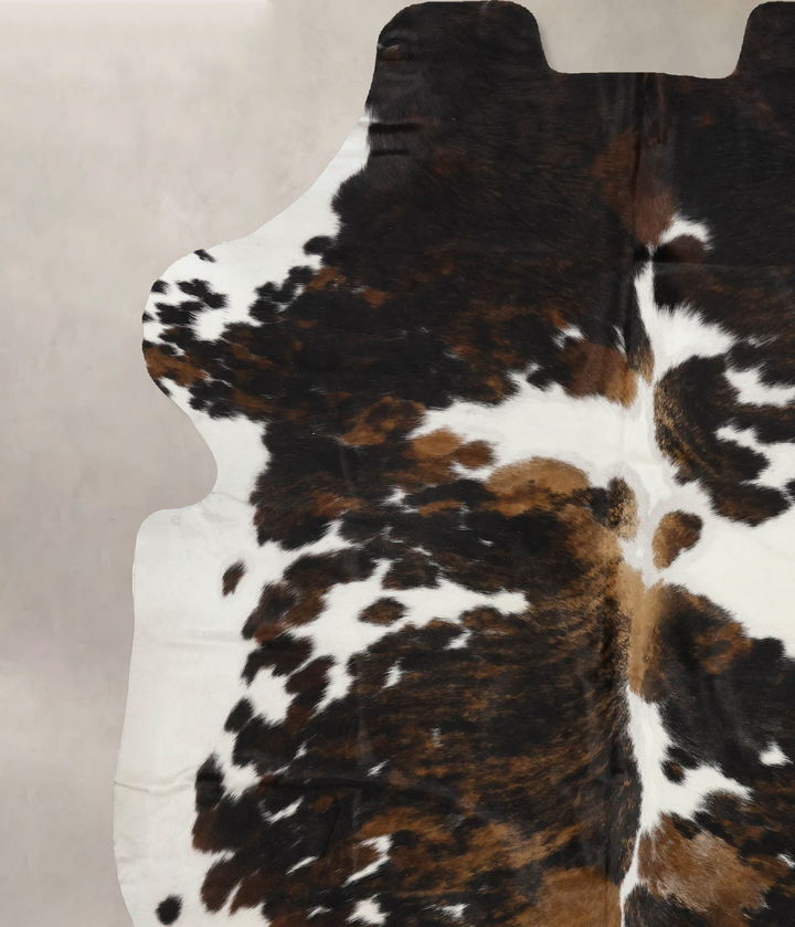 Tricolor X-Large European Cowhide Rug 7'3"H x 6'1"W #B12101 by Hudson Hides