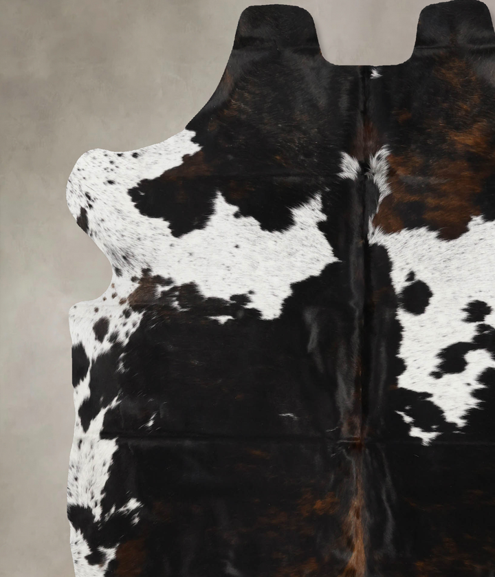 Tricolor X-Large European Cowhide Rug 7'0"H x 6'5"W #B12104 by Hudson Hides