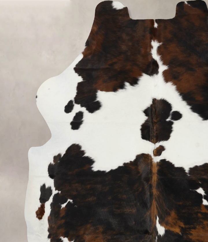 Tricolor X-Large European Cowhide Rug 6'11"H x 6'1"W #B12108 by Hudson Hides