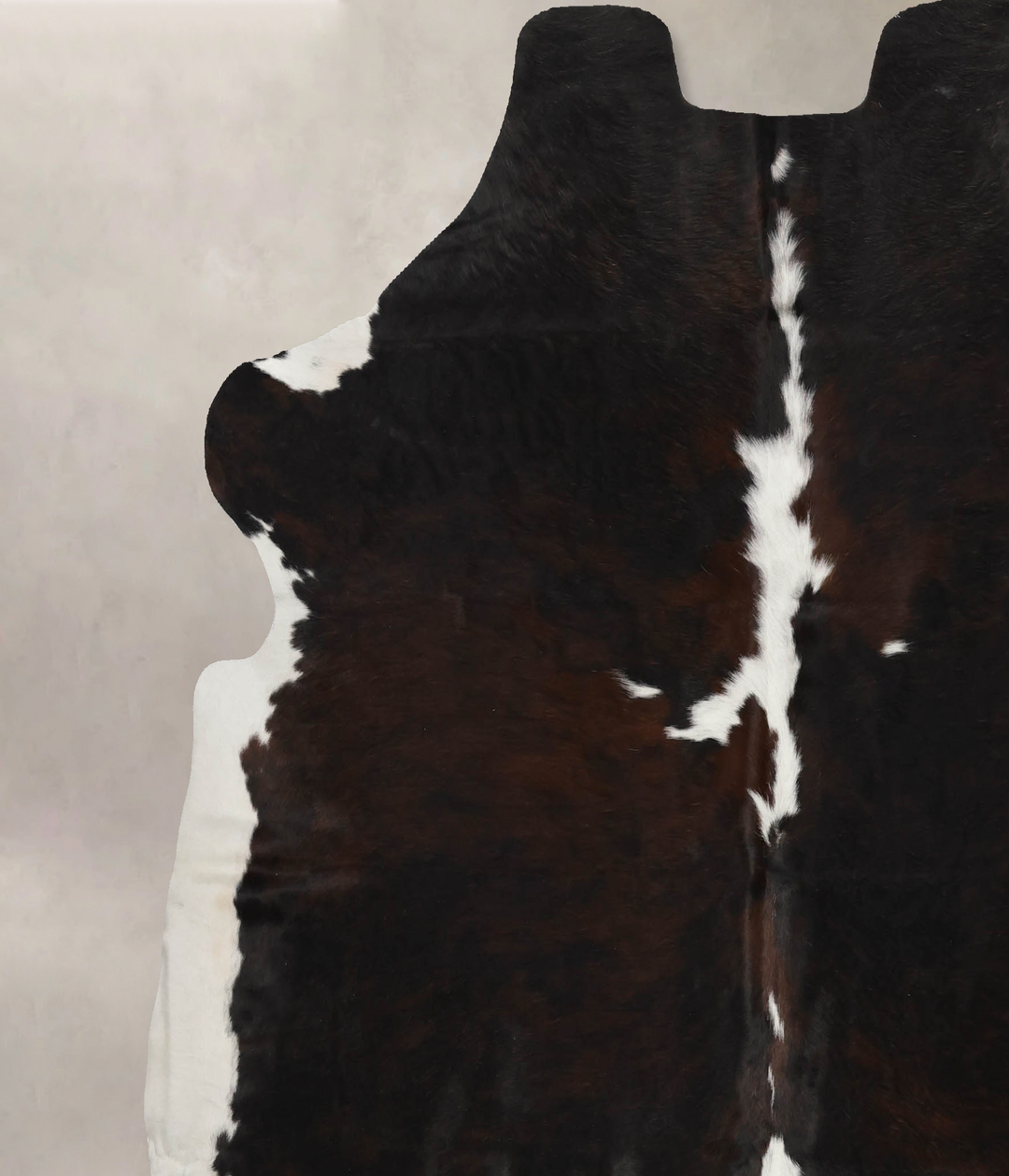 Tricolor X-Large European Cowhide Rug 7'3"H x 6'11"W #B12110 by Hudson