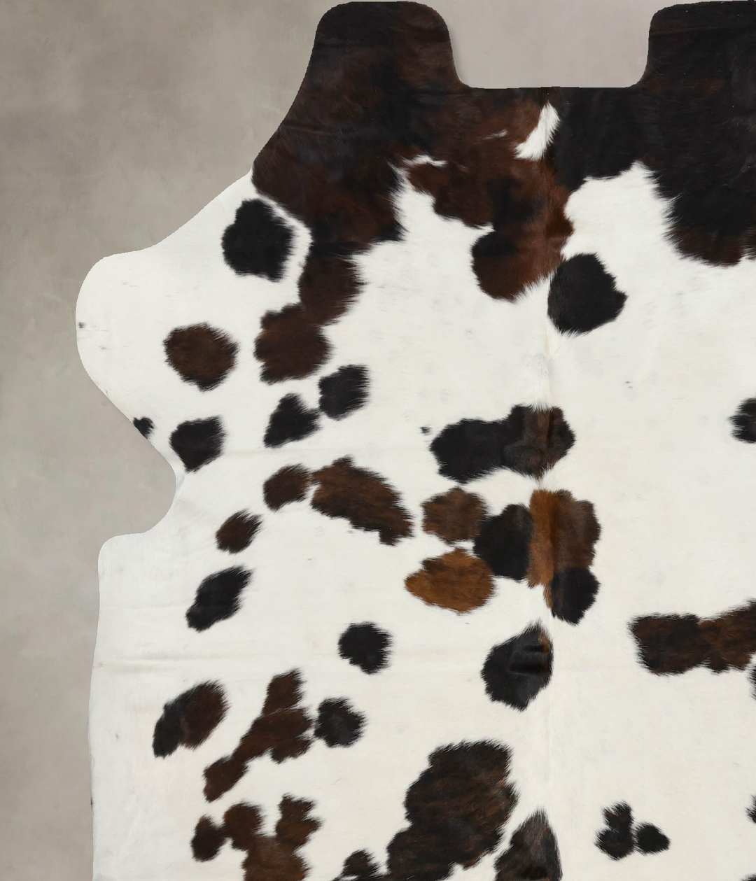 Tricolor X-Large European Cowhide Rug 6'11"H x 6'4"W #B12115 by Hudson