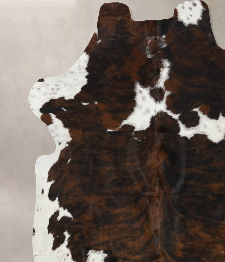 Tricolor X-Large European Cowhide Rug 6'11"H x 6'2"W #B12116 by Hudson Hides