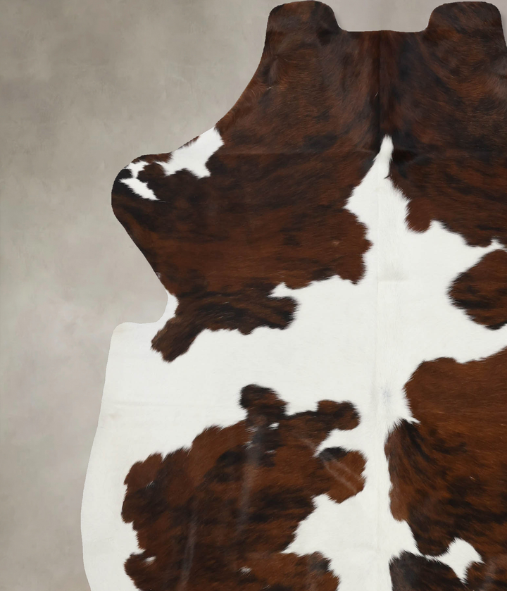 Tricolor X-Large European Cowhide Rug 7'3"H x 6'1"W #B12117 by Hudson Hides