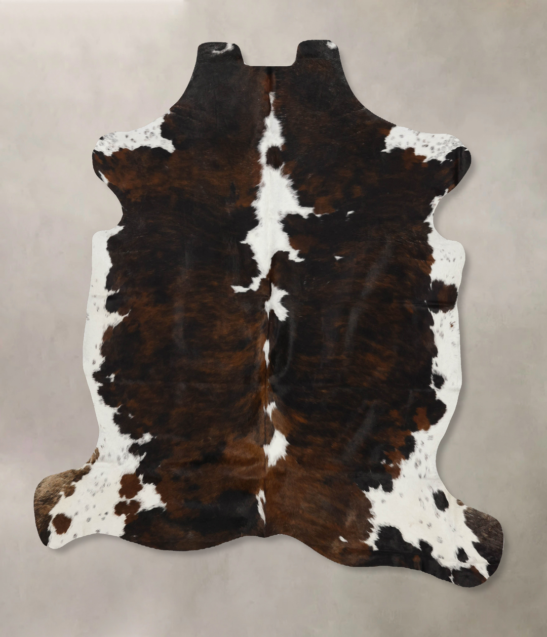 Tricolor X-Large European Cowhide Rug 7'1"H x 6'6"W #B12118 by Hudson