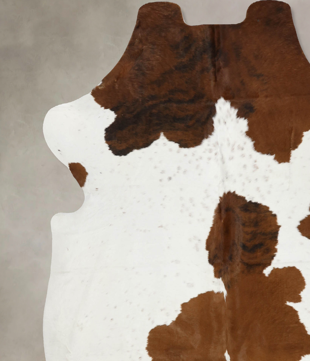 Tricolor X-Large European Cowhide Rug 7'3"H x 6'6"W #B12119 by Hudson