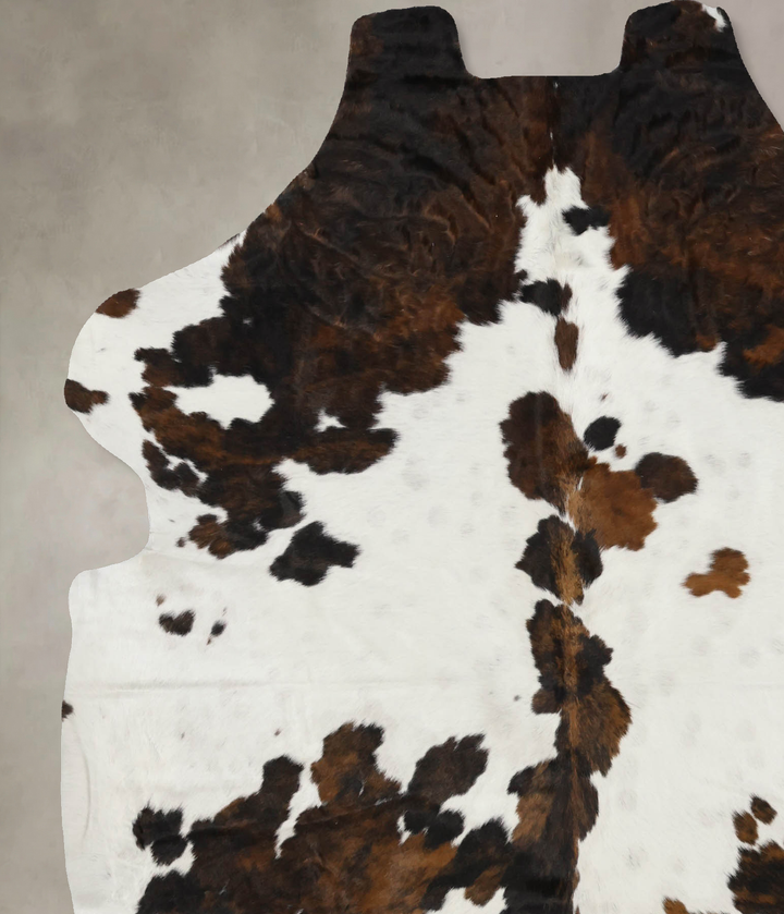Tricolor X-Large European Cowhide Rug 7'0"H x 6'1"W #B12121 by Hudson Hides