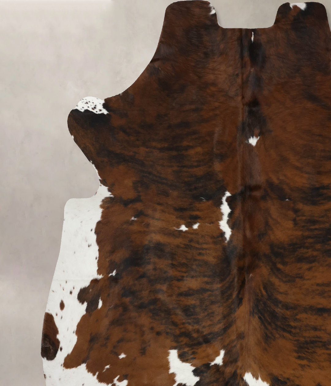 Tricolor X-Large European Cowhide Rug 7'0"H x 6'8"W #B12122 by Hudson