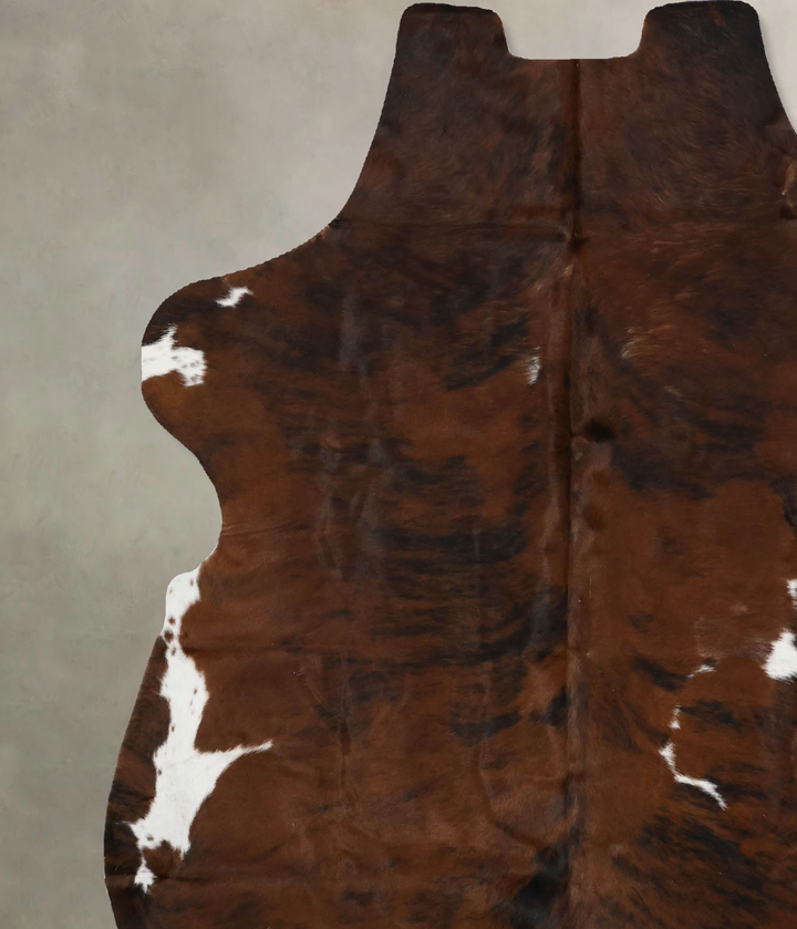 Tricolor X-Large European Cowhide Rug 6'10"H x 5'11"W #B12126 by Hudson Hides