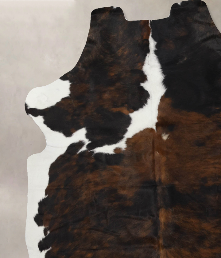 Tricolor X-Large European Cowhide Rug 7'0"H x 5'9"W #B12131 by Hudson Hides