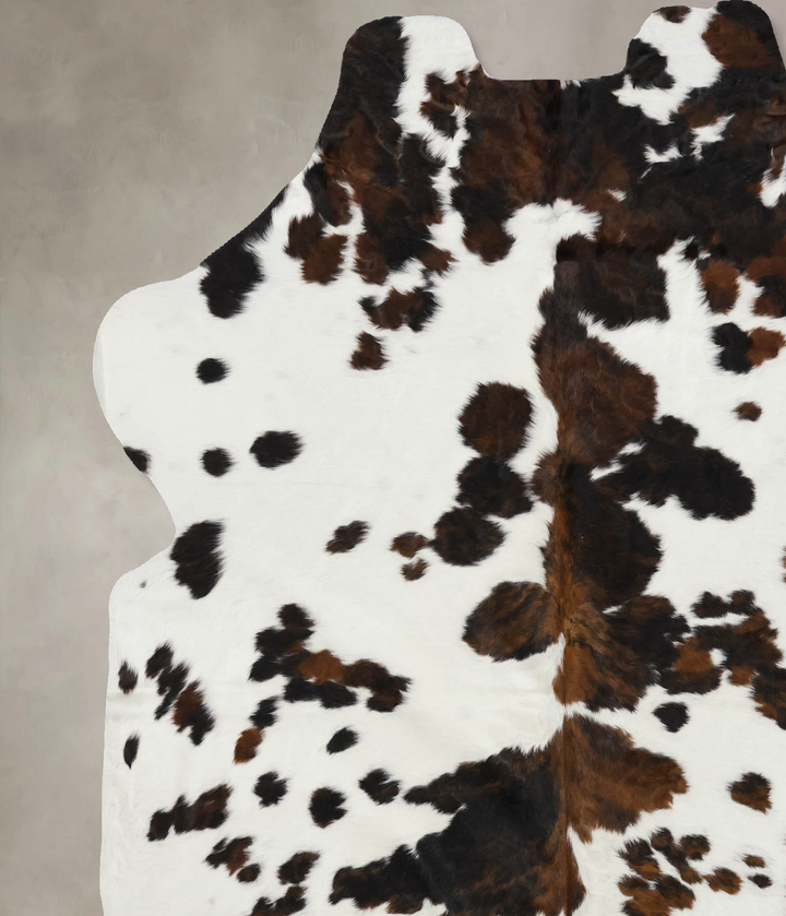 Tricolor X-Large European Cowhide Rug 6'9"H x 5'11"W #B12138 by Hudson Hides