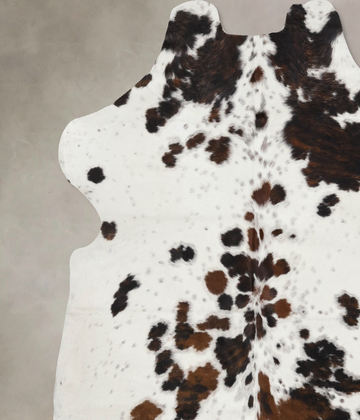 Tricolor X-Large European Cowhide Rug 6'7"H x 6'6"W #B12158 by Hudson Hides