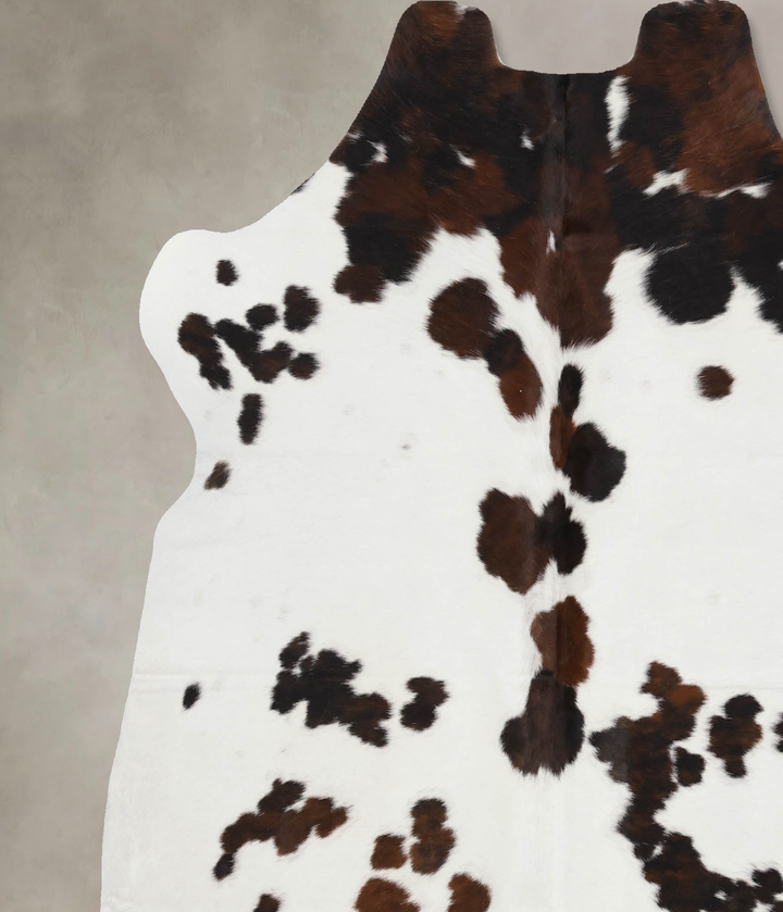Tricolor Large European Cowhide Rug 6'5"H x 6'2"W #B12165 by Hudson Hides