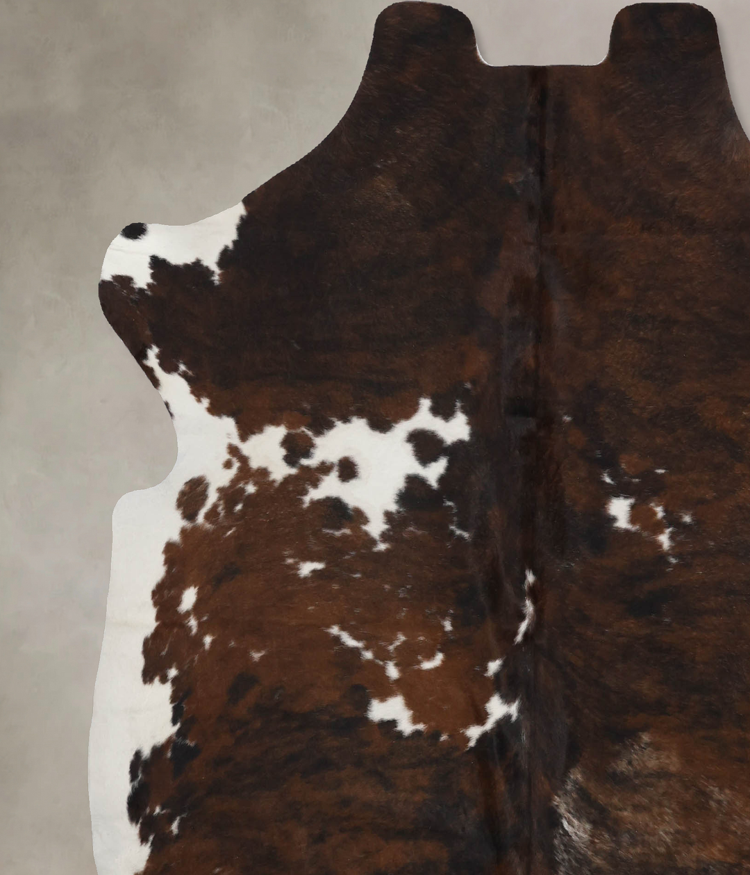 Tricolor X-Large European Cowhide Rug 6'11"H x 6'4"W #B12170 by Hudson