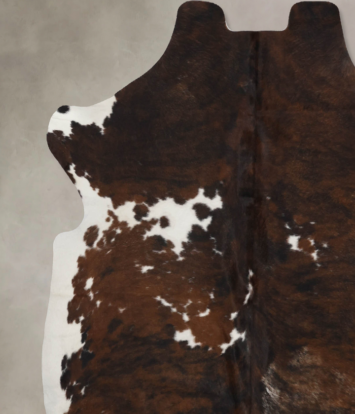 Tricolor X-Large European Cowhide Rug 6'11"H x 6'4"W #B12170 by Hudson Hides