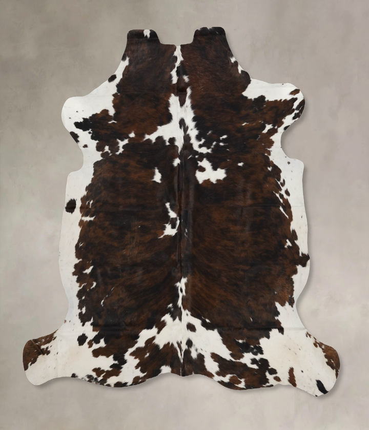 Tricolor X-Large European Cowhide Rug 6'11"H x 6'6"W #B12171 by Hudson Hides