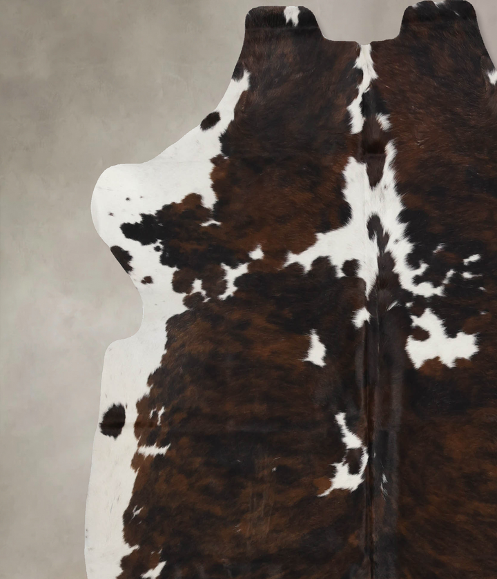 Tricolor X-Large European Cowhide Rug 6'11"H x 6'6"W #B12171 by Hudson Hides