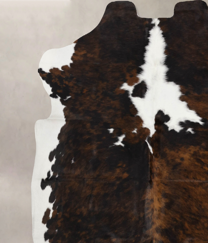 Tricolor X-Large European Cowhide Rug 6'5"H x 6'4"W #B12206 by Hudson Hides