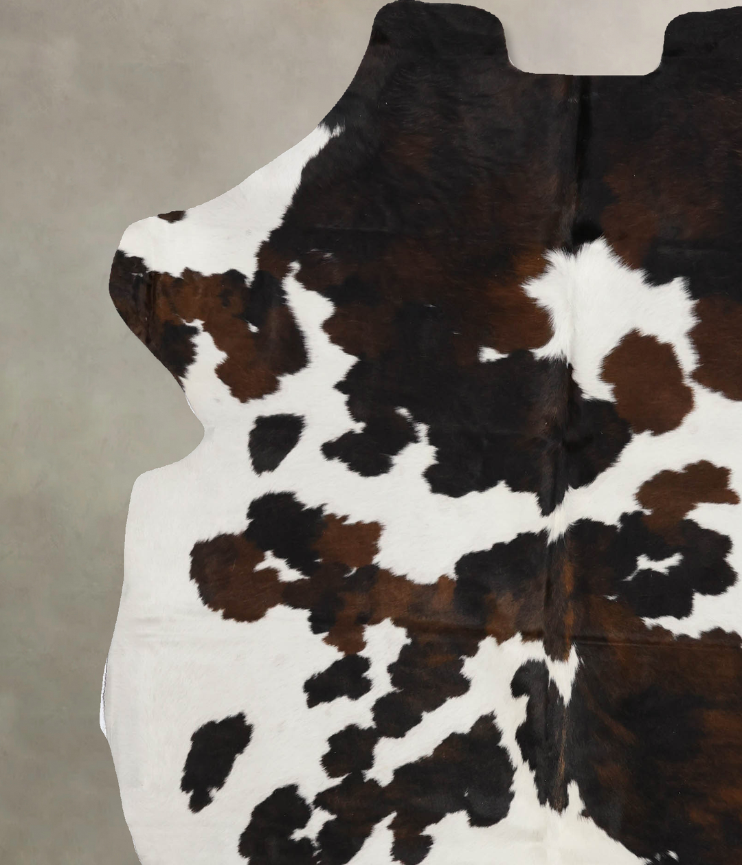 Tricolor X-Large European Cowhide Rug 6'11"H x 6'3"W #B12208 by Hudson