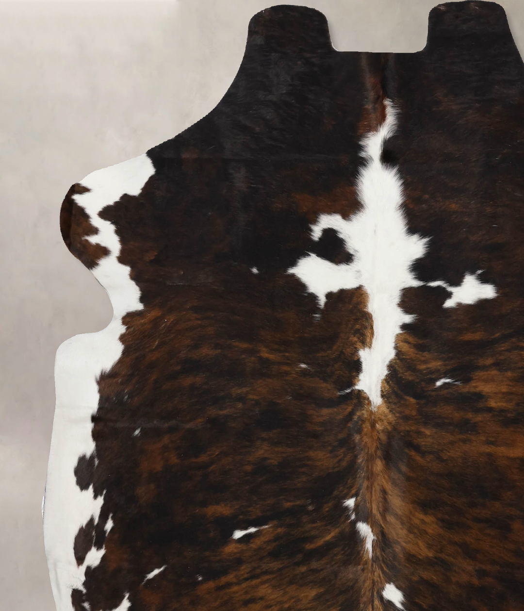 Tricolor X-Large European Cowhide Rug 6'11"H x 6'2"W #B12209 by Hudson