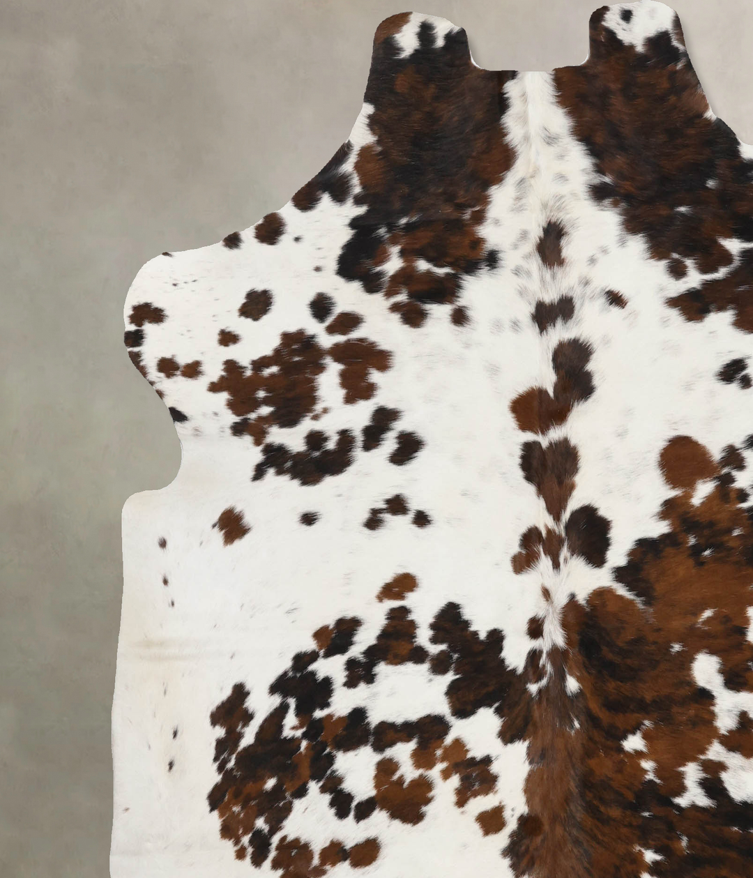 Tricolor X-Large European Cowhide Rug 6'10"H x 6'4"W #B12211 by Hudson