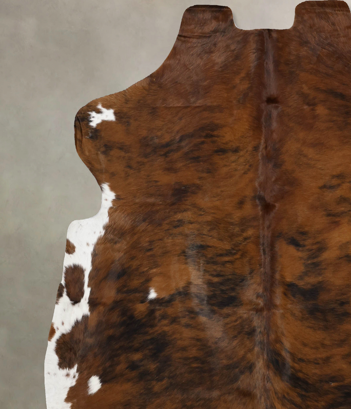 Tricolor X-Large European Cowhide Rug 6'8"H x 6'4"W #B12218 by Hudson Hides