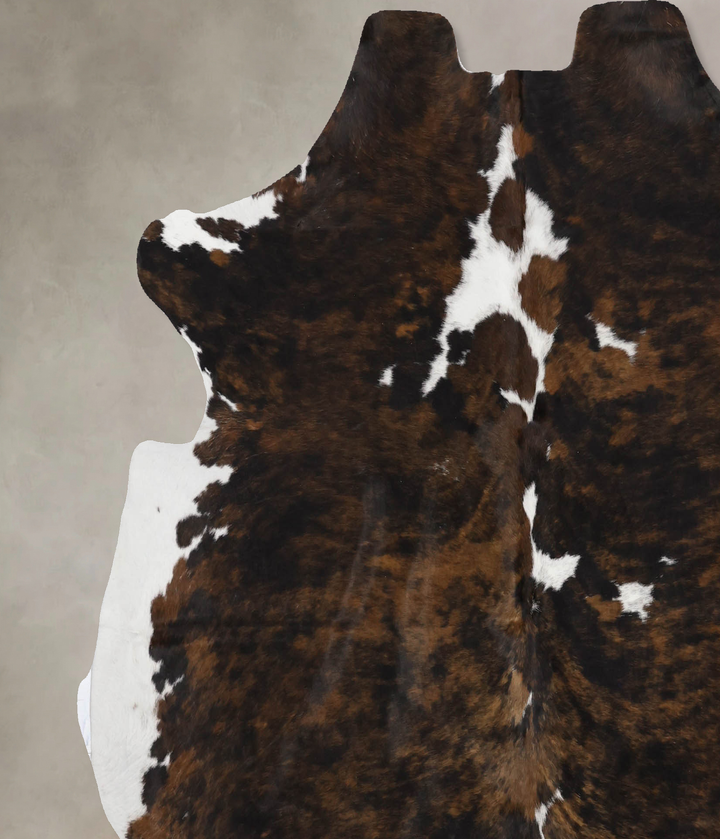 Tricolor X-Large European Cowhide Rug 6'5"H x 6'6"W #B12220 by Hudson Hides