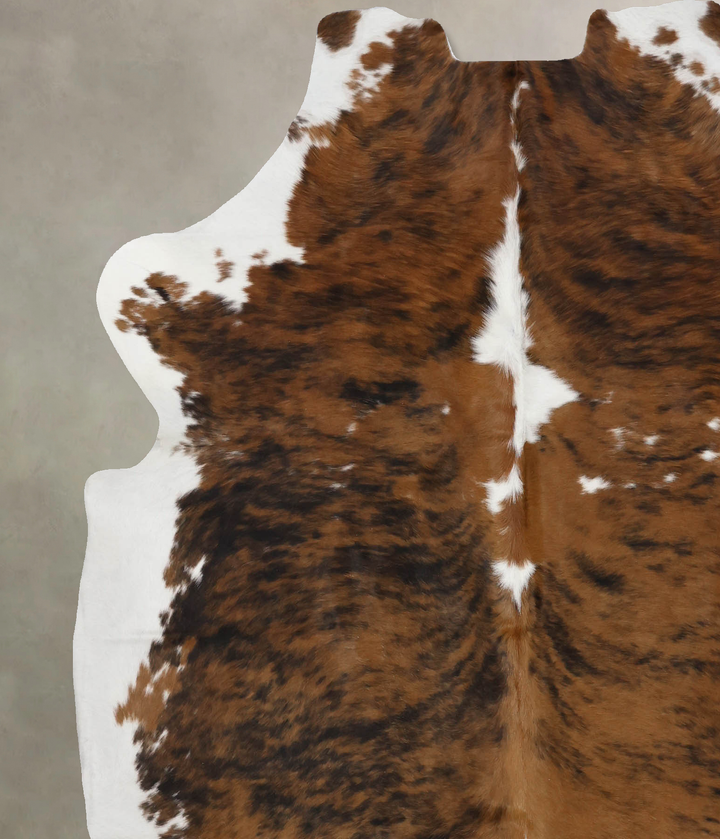 Tricolor X-Large European Cowhide Rug 6'8"H x 6'0"W #B12232 by Hudson Hides