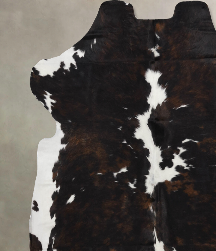 Tricolor X-Large European Cowhide Rug 6'6"H x 6'5"W #B12241 by Hudson Hides