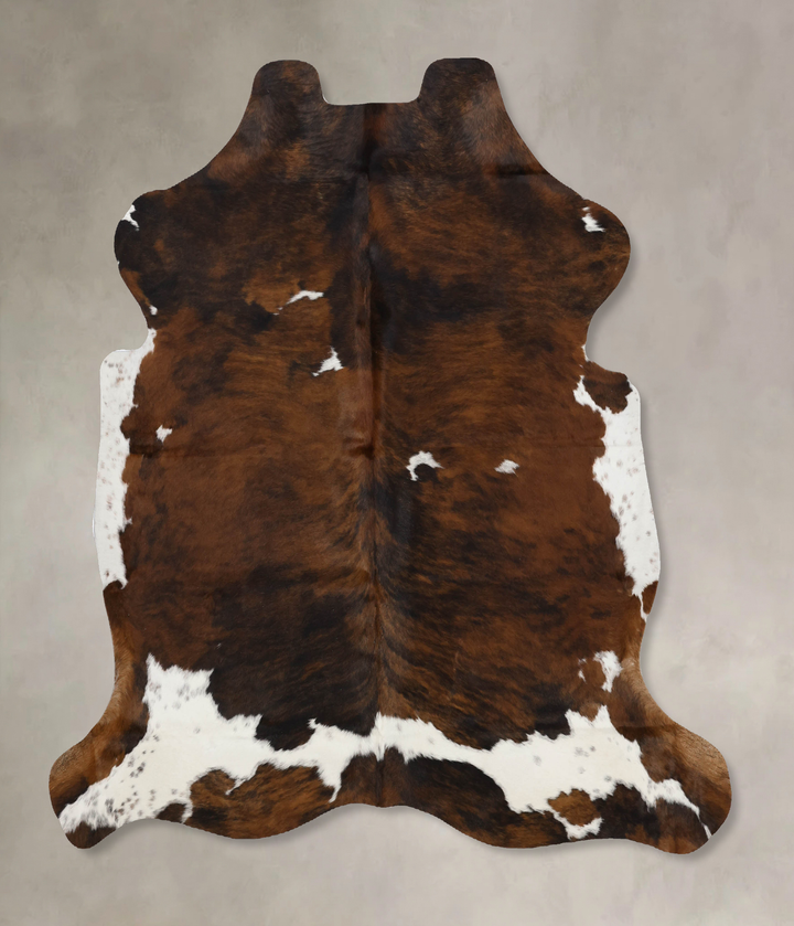 Tricolor X-Large European Cowhide Rug 6'8"H x 6'5"W #B12251 by Hudson Hides