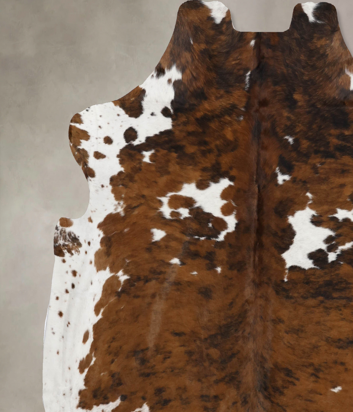 Tricolor X-Large European Cowhide Rug 6'8"H x 6'4"W #B12265 by Hudson Hides