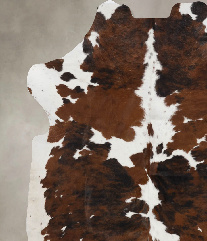 Tricolor X-Large European Cowhide Rug 7'2"H x 6'0"W #B12272 by Hudson Hides