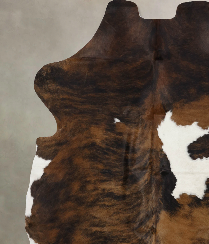 Tricolor X-Large European Cowhide Rug 6'11"H x 6'1"W #B12274 by Hudson Hides