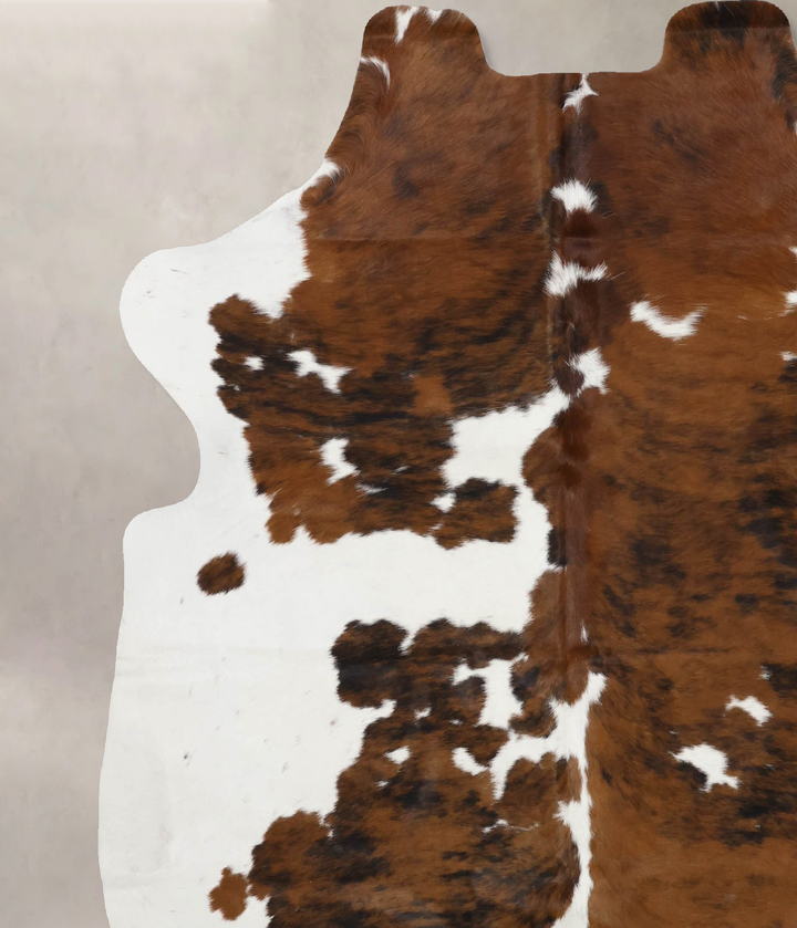 Tricolor X-Large European Cowhide Rug 6'10"H x 5'11"W #B12278 by Hudson Hides