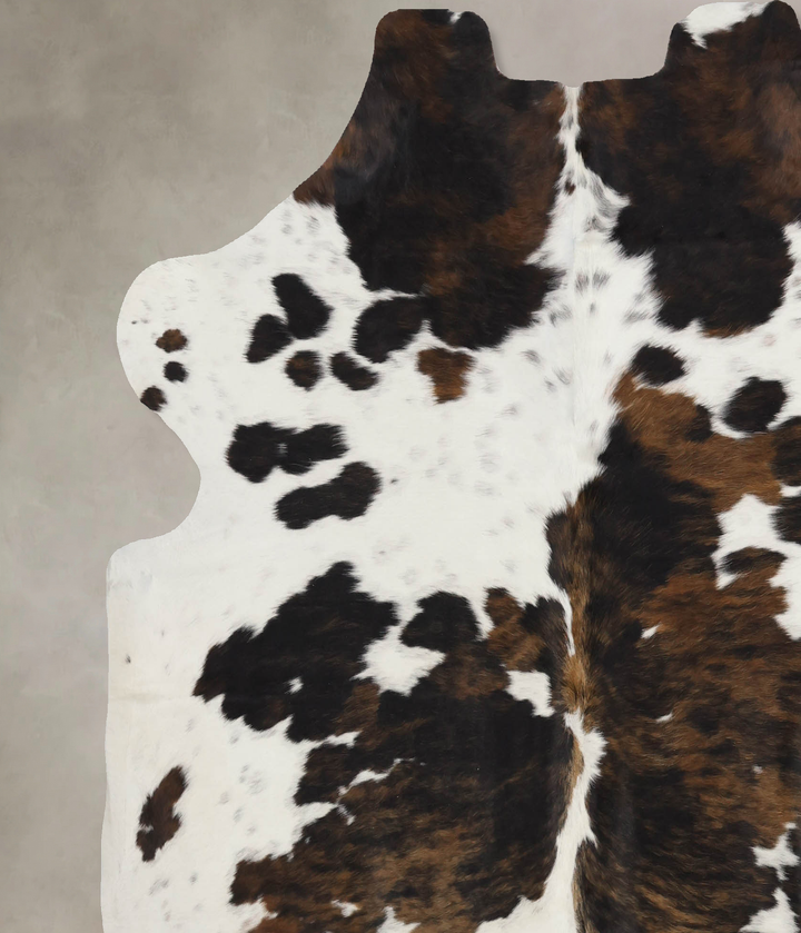 Tricolor X-Large European Cowhide Rug 6'9"H x 6'7"W #B12336 by Hudson Hides