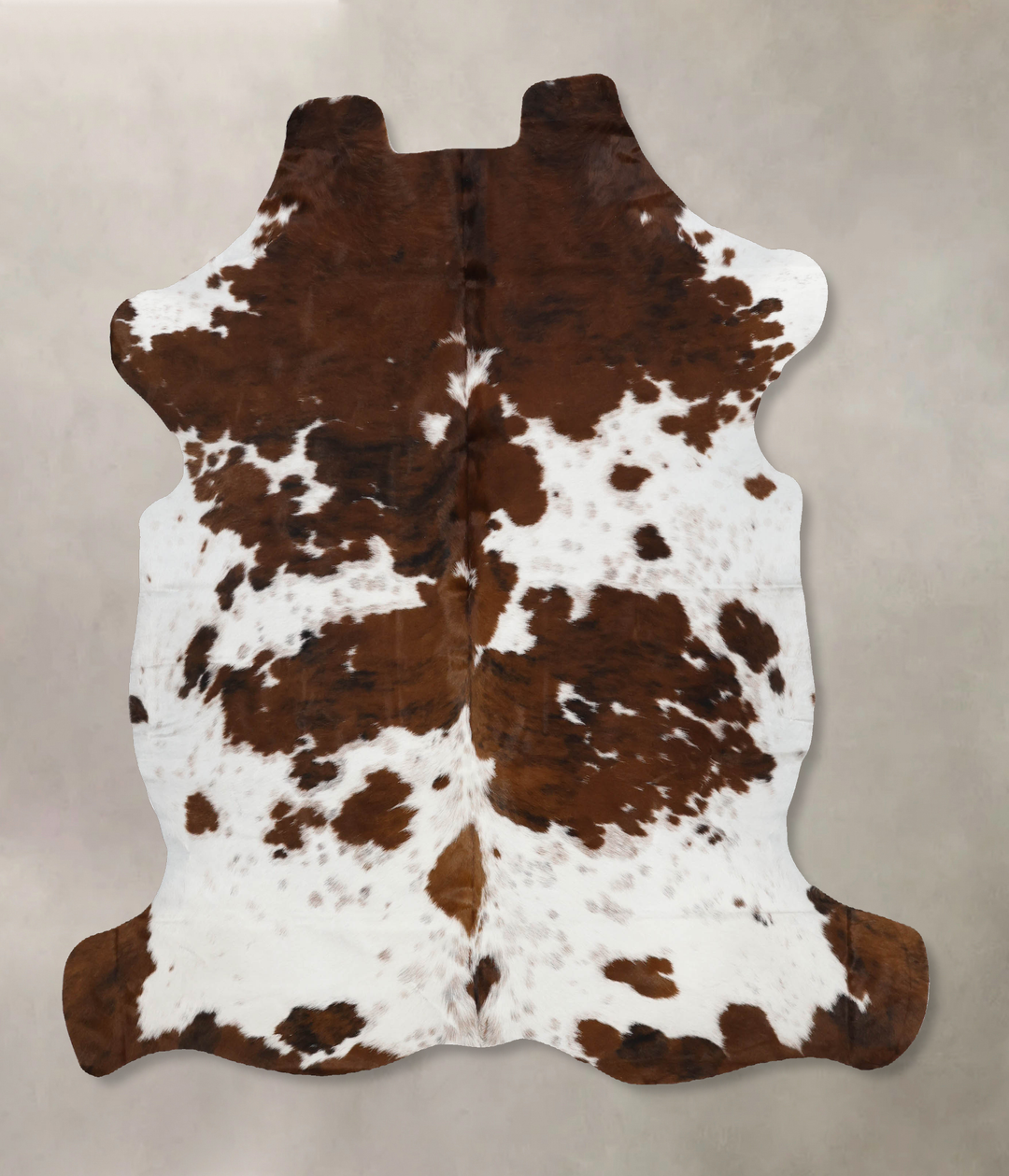 Tricolor X-Large European Cowhide Rug 6'8"H x 6'2"W #B12337 by Hudson