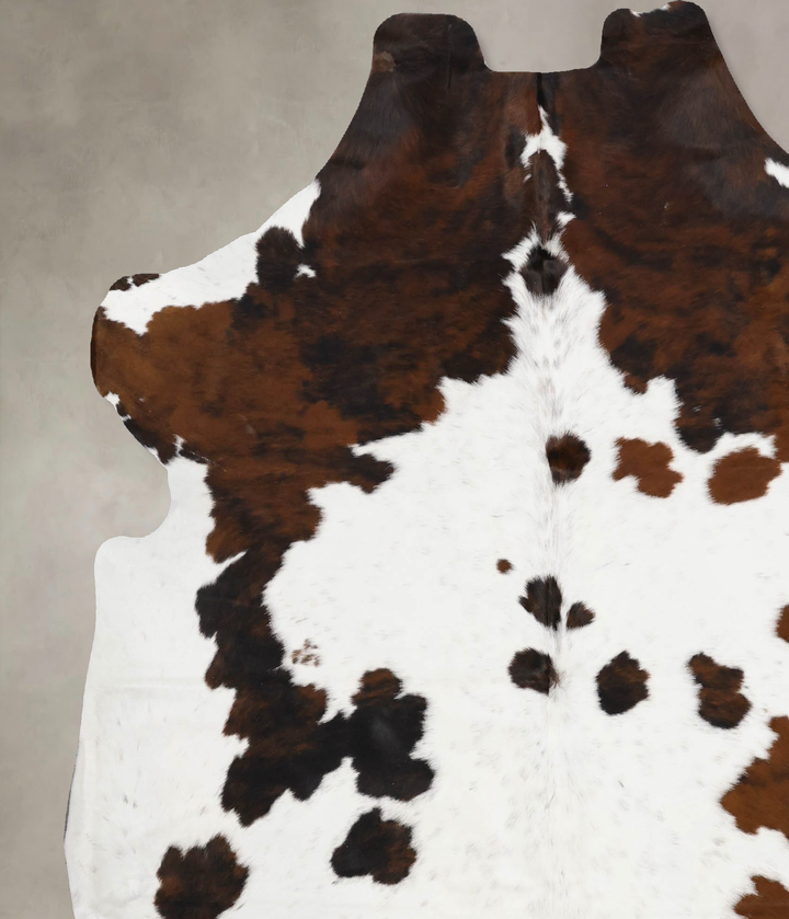 Tricolor X-Large European Cowhide Rug 6'9"H x 6'7"W #B12339 by Hudson Hides