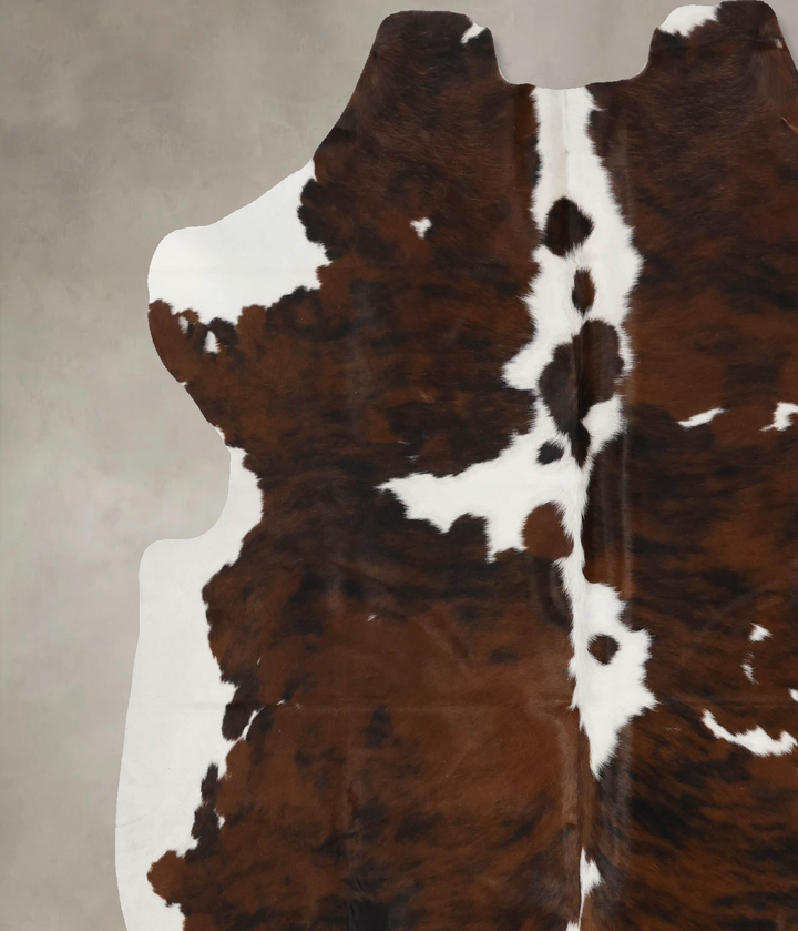 Tricolor X-Large European Cowhide Rug 6'7"H x 6'4"W #B12342 by Hudson Hides