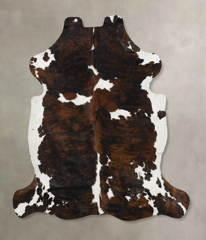 Tricolor X-Large European Cowhide Rug 6'7"H x 6'1"W #B12343 by Hudson Hides