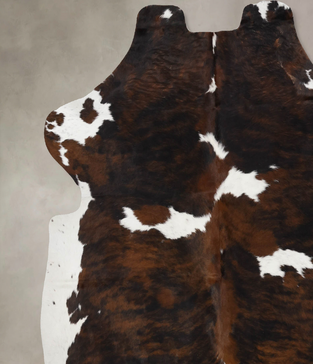 Tricolor X-Large European Cowhide Rug 6'7"H x 6'1"W #B12343 by Hudson